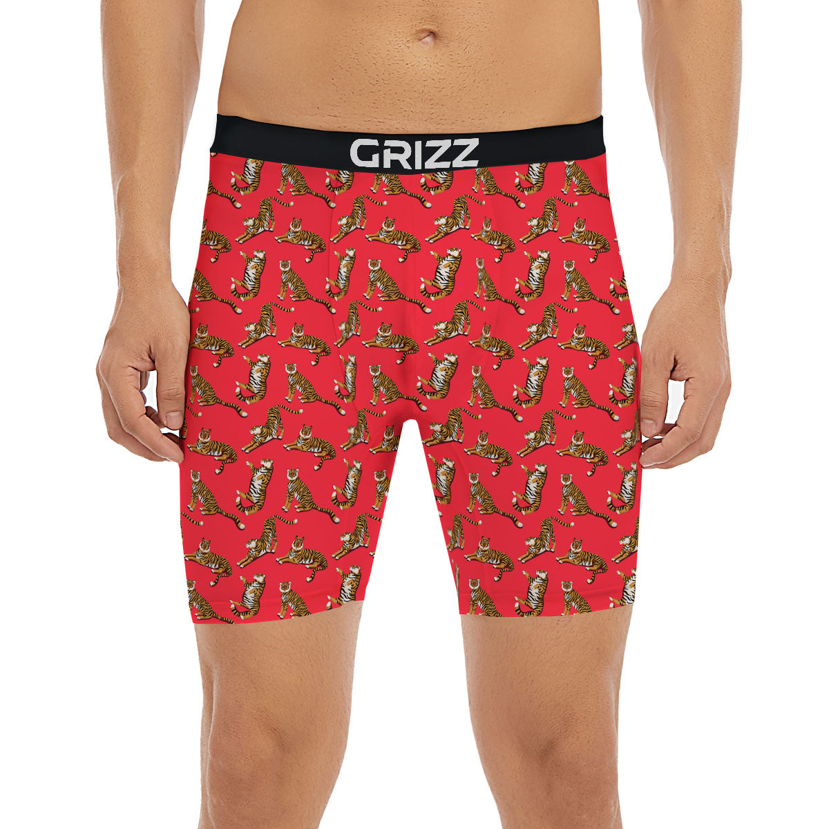 Tiger Cartoon Print Pattern Boxer Briefs-grizzshop