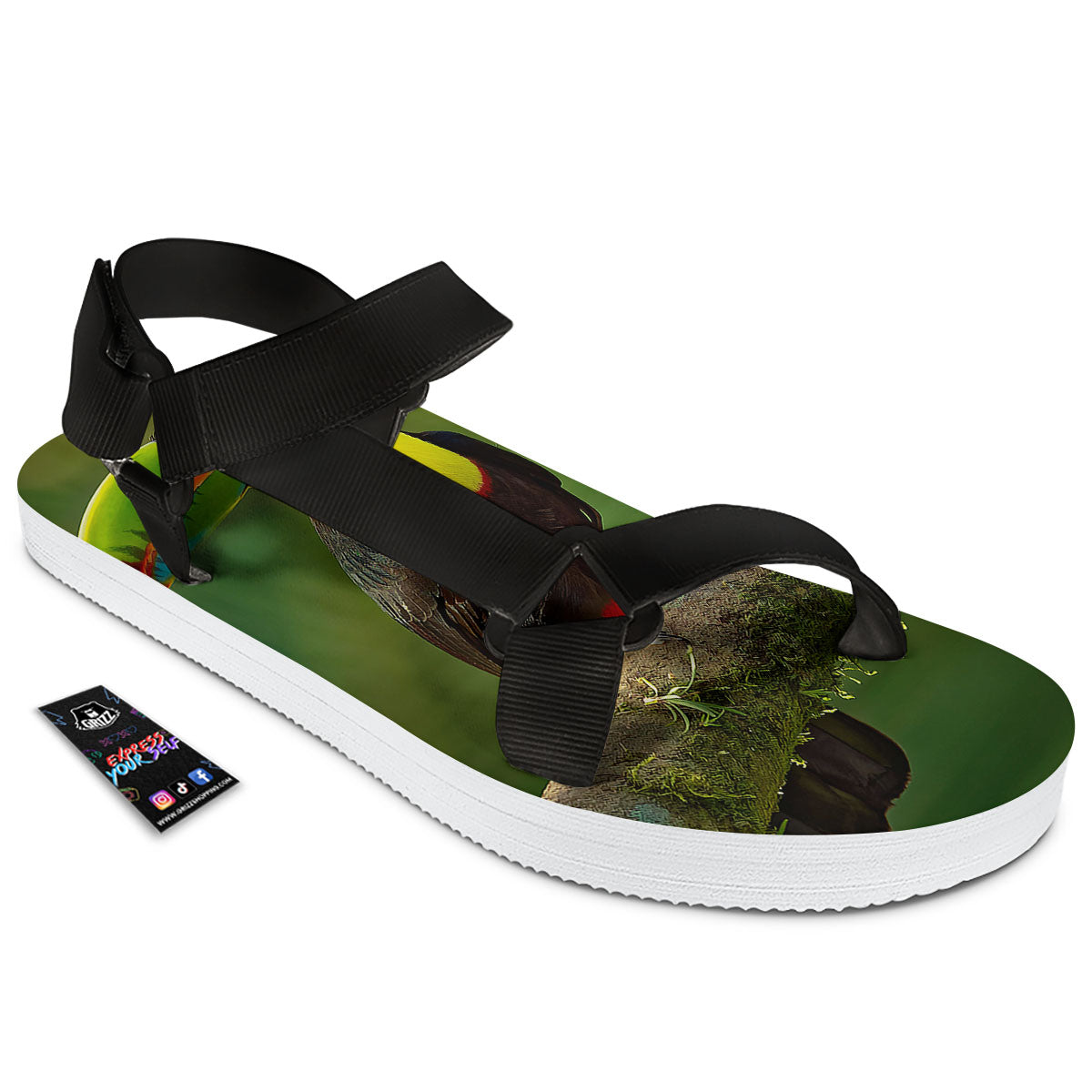 Toucan Tropical Toco Print Black Open Toe Sandals-grizzshop