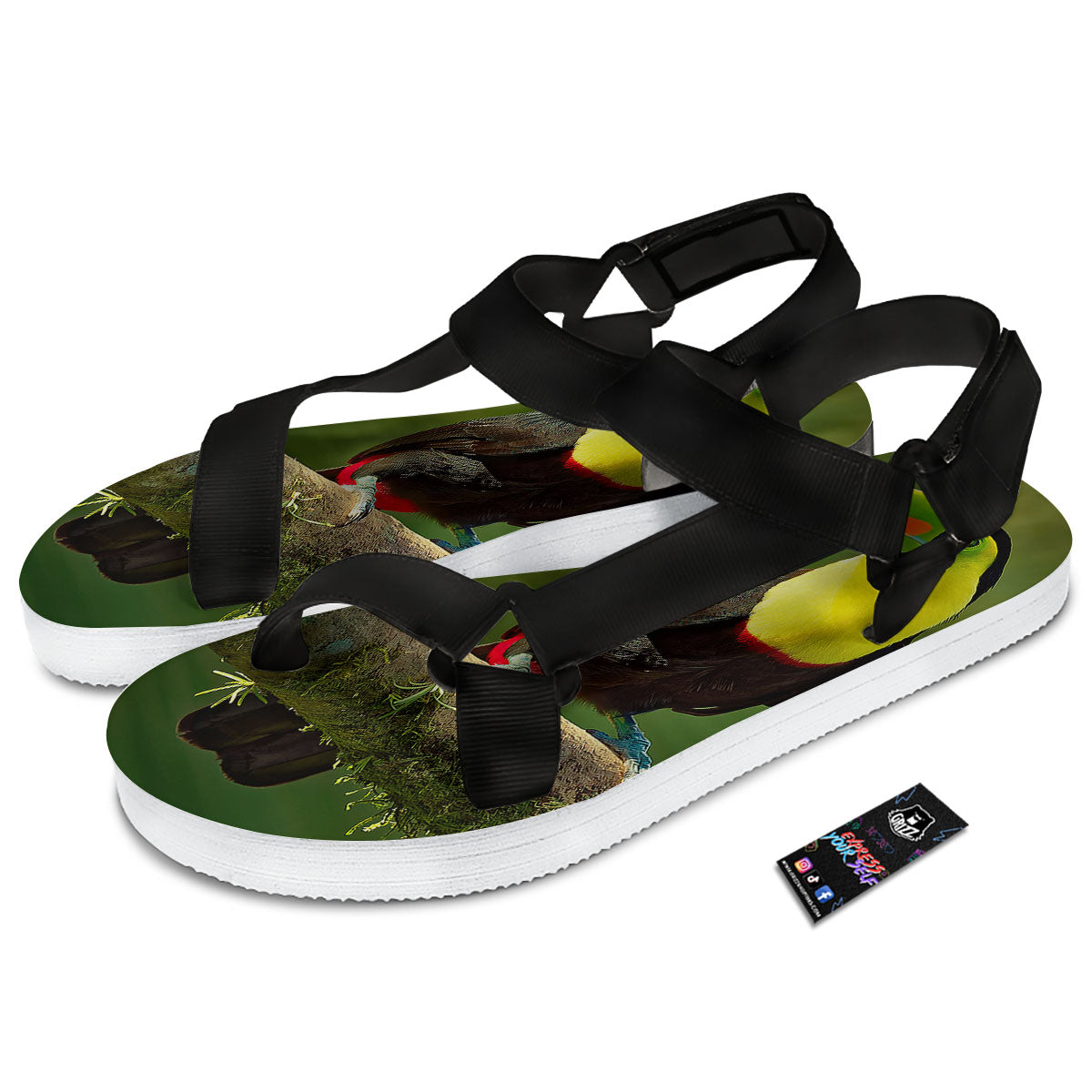 Toucan Tropical Toco Print Black Open Toe Sandals-grizzshop