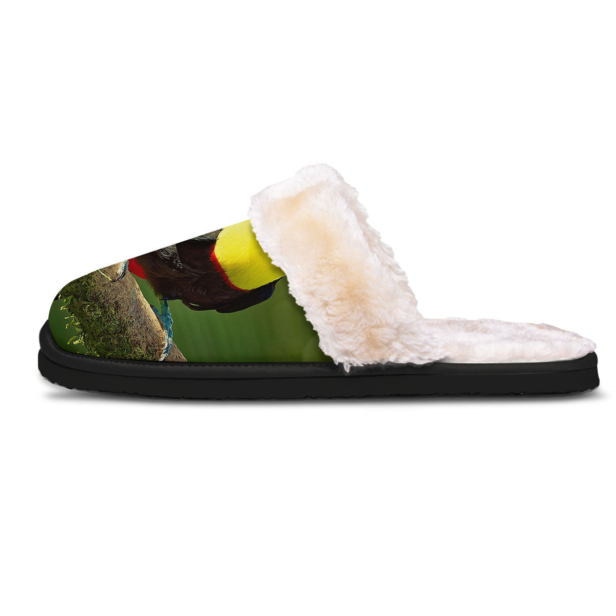 Toucan Tropical Toco Print Slippers-grizzshop