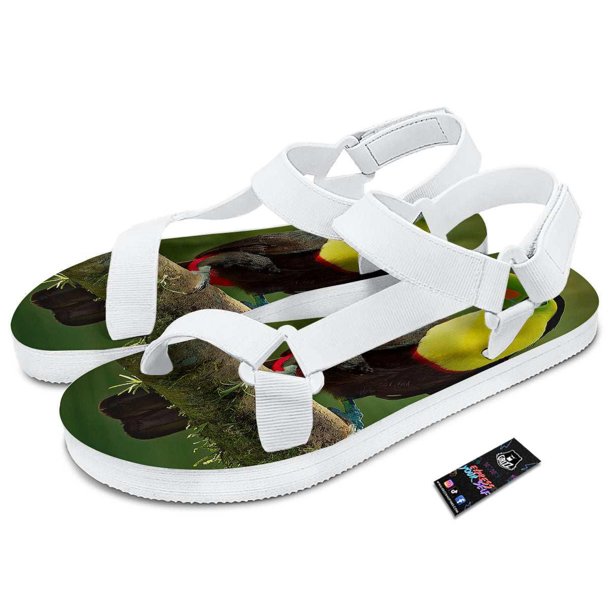 Toucan Tropical Toco Print White Open Toe Sandals-grizzshop