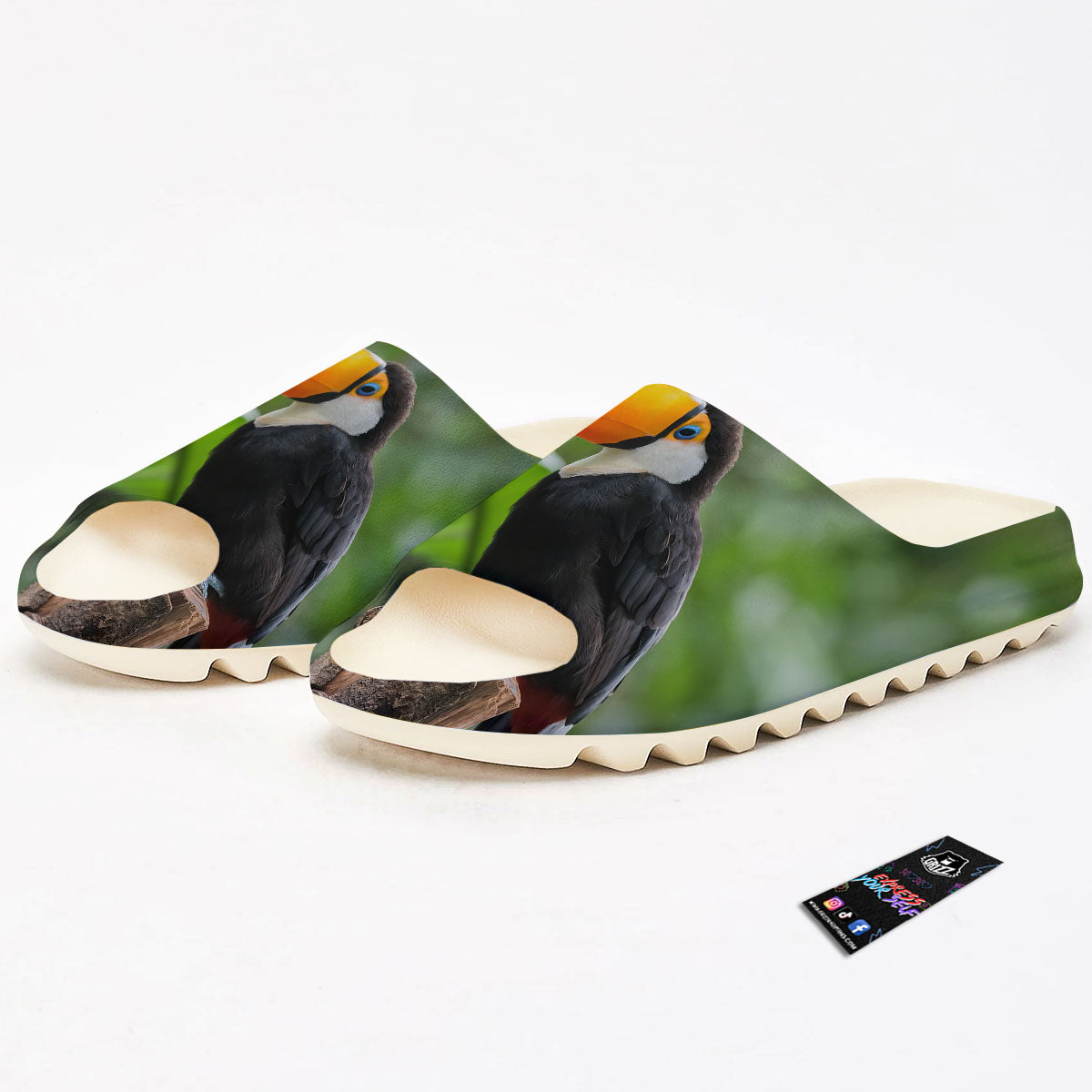 Toucan Aloha Keel-Billed Print Sandals-grizzshop