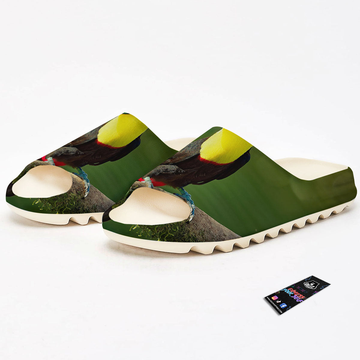 Toucan Tropical Toco Print Sandals-grizzshop
