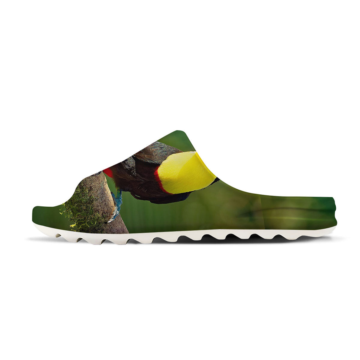 Toucan Tropical Toco Print Sandals-grizzshop