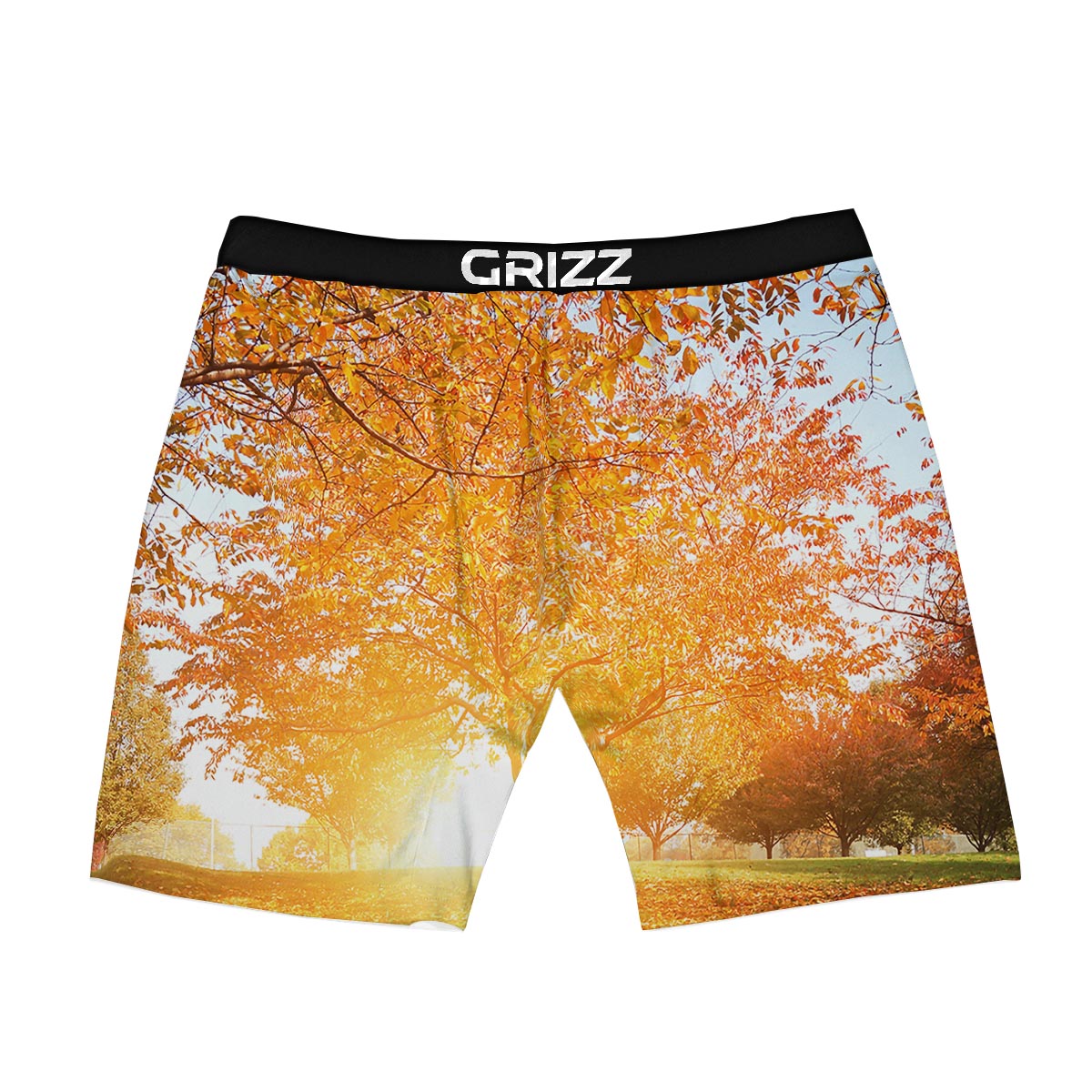 Tree Sunshine Autumn Print Boxer Briefs-grizzshop
