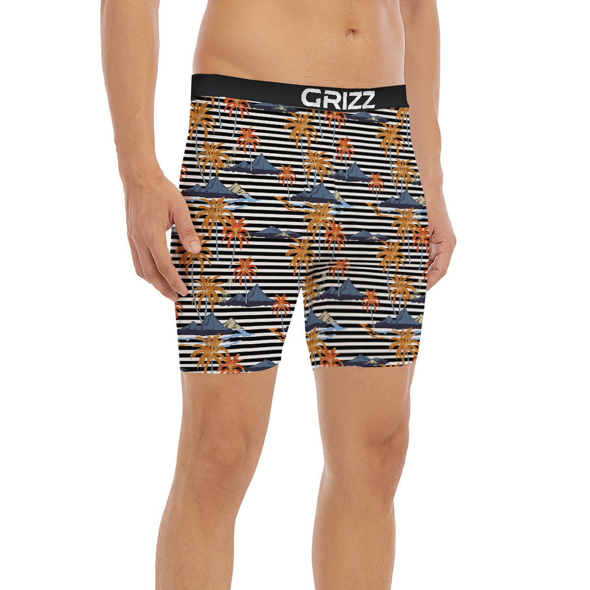 Tropical Island And Stripes Print Pattern Boxer Briefs-grizzshop