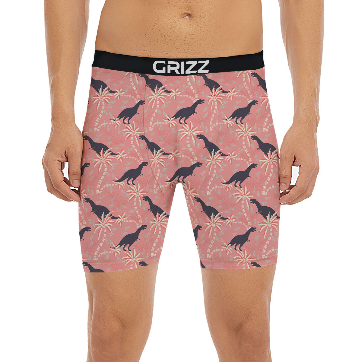 Tyrannosaurus Fossil Print Pattern Boxer Briefs-grizzshop