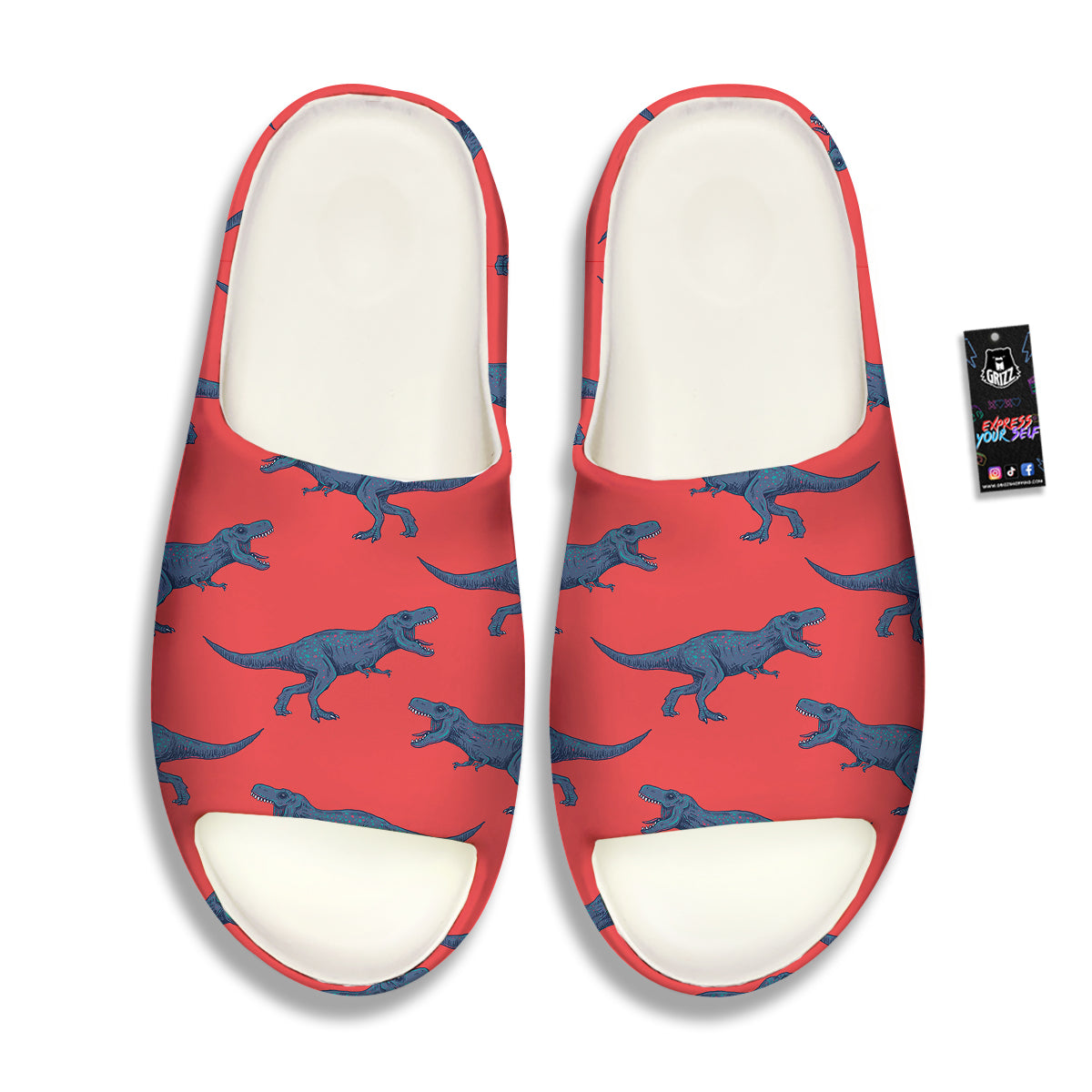 Tyrannosaurus Rex Print Pattern Sandals-grizzshop