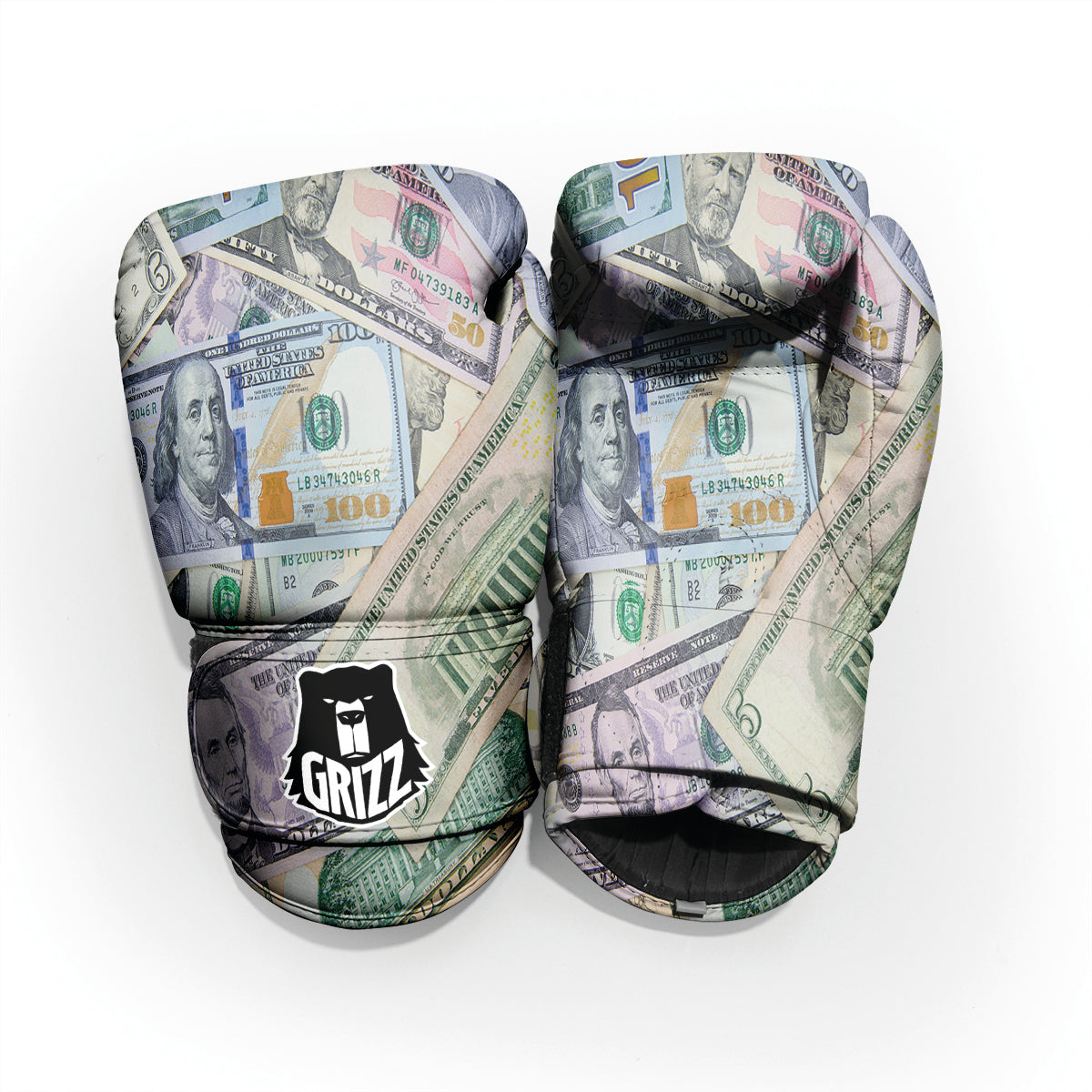 US Dollar Print Pro Boxing Glove
