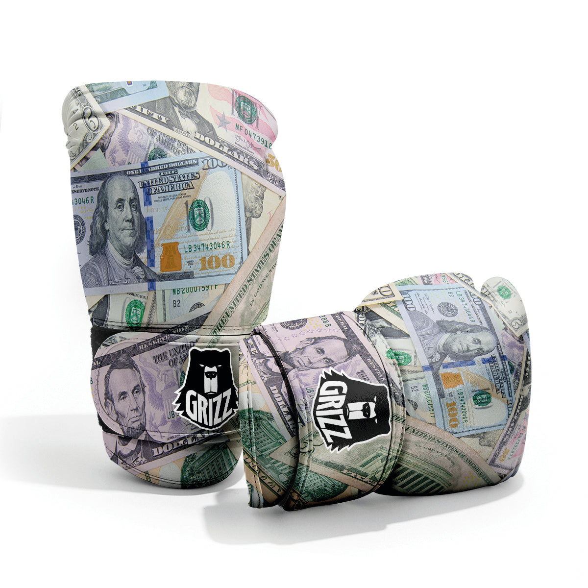US Dollar Print Pro Boxing Glove