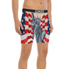 USA Flag Statue of Liberty Print Boxer Briefs-grizzshop