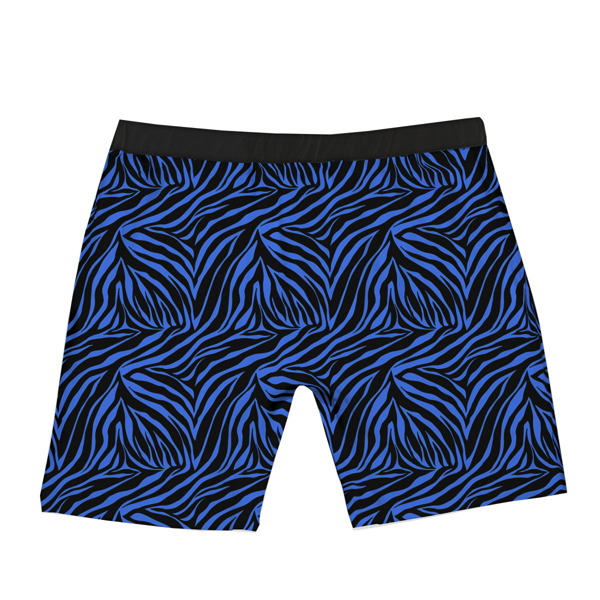 Zebra Black Blue Print Pattern Boxer Briefs-grizzshop
