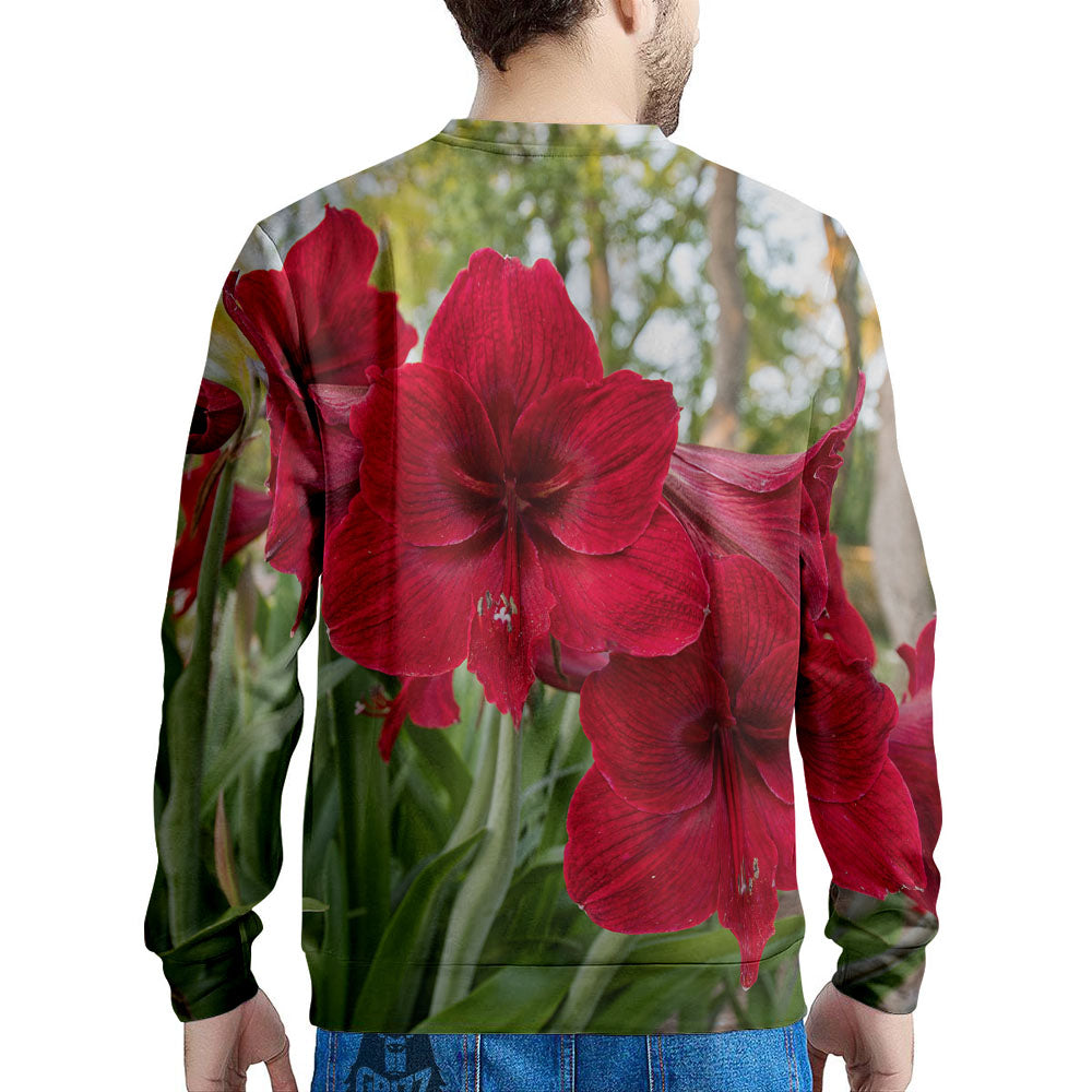 Amaryllis Red Print Men's Sweatshirt-grizzshop