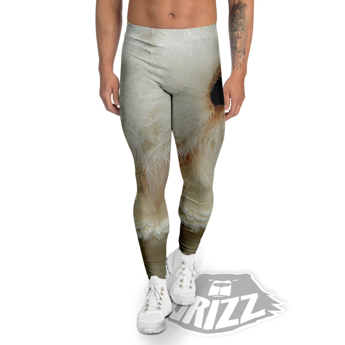 Barn Owl Print Men's Leggings-grizzshop