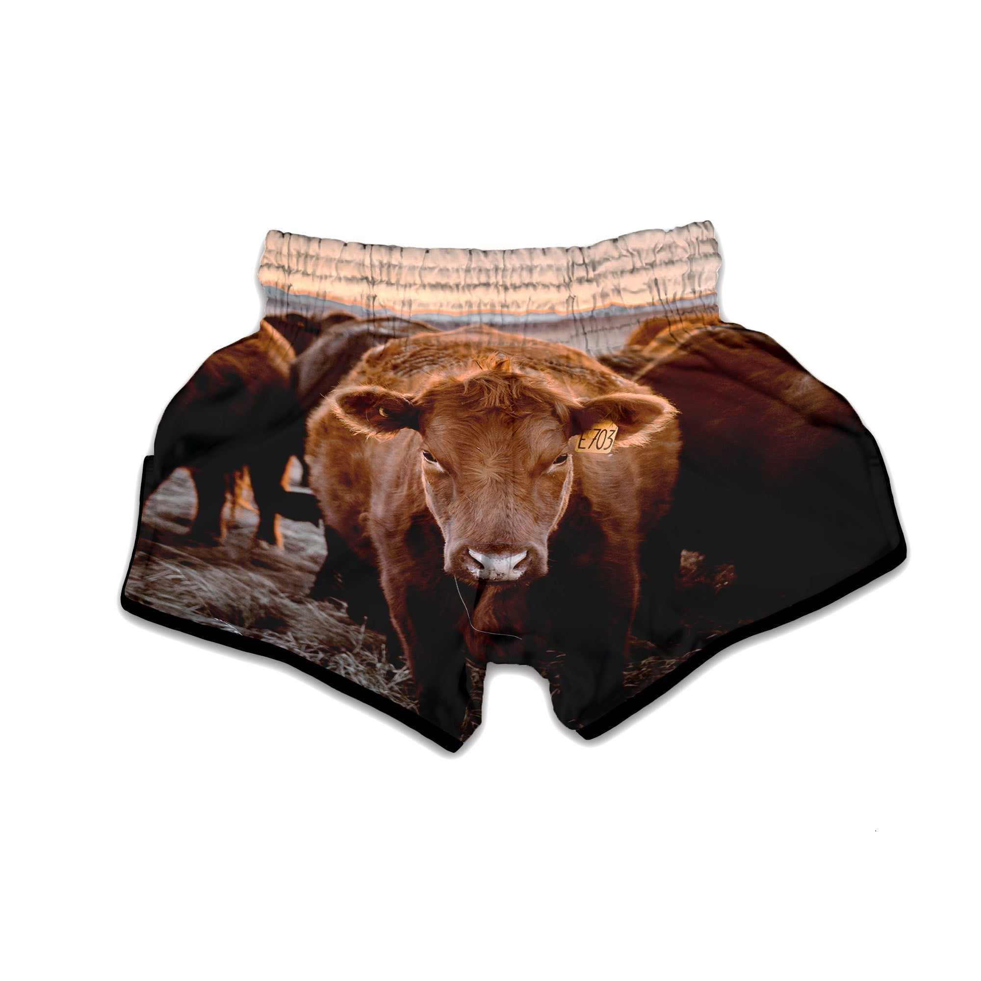 Cow Brown Print Muay Thai Boxing Shorts-grizzshop