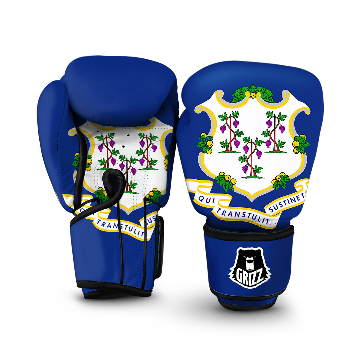 Flag Of Connecticut Boxing Gloves-grizzshop
