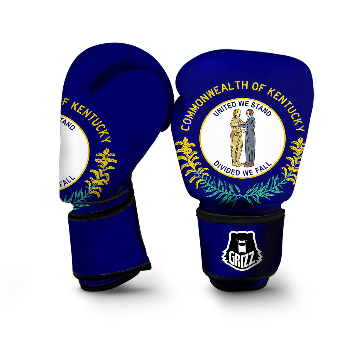 Flag Of Kentucky Boxing Gloves-grizzshop