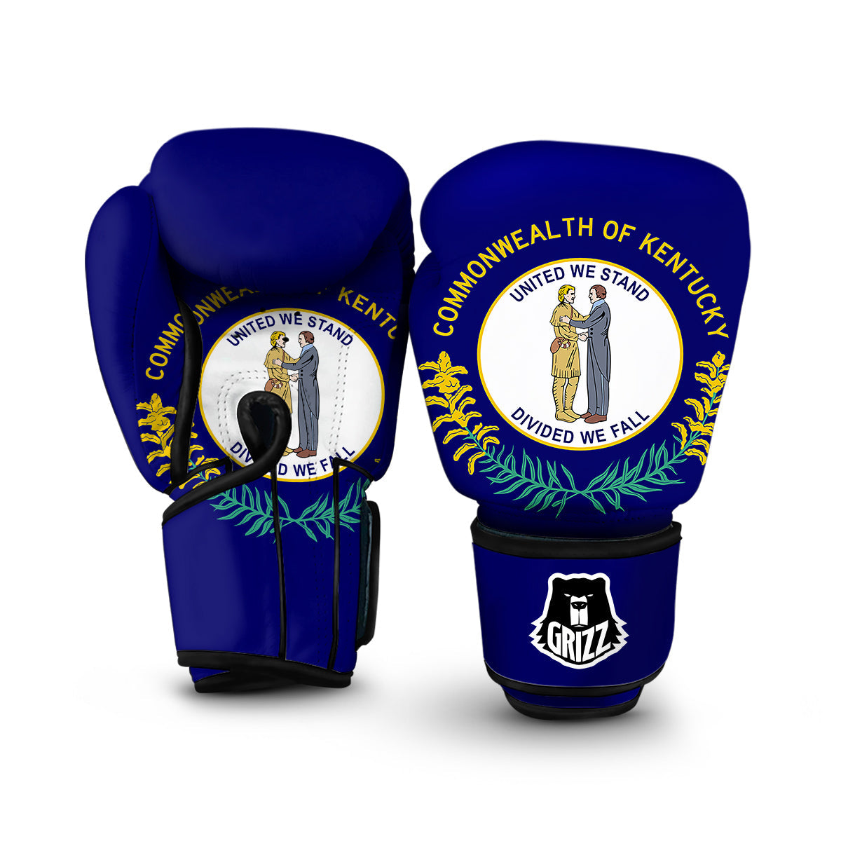 Flag Of Kentucky Boxing Gloves-grizzshop