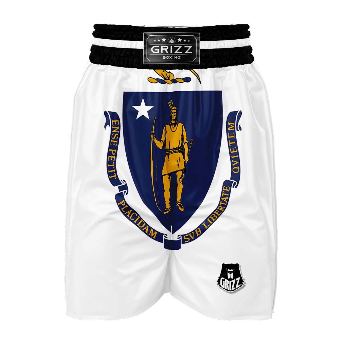 Flag Of Massachusetts Boxing Shorts-grizzshop