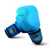 Holographic Blue Print Boxing Gloves-grizzshop