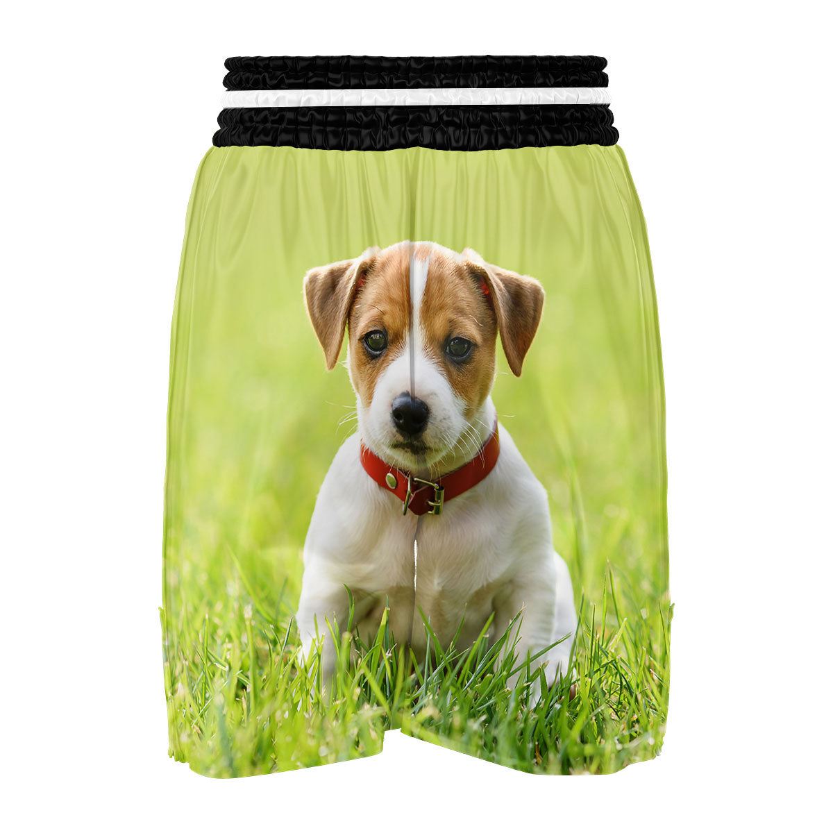 Jack Russell Terrier Little Print Boxing Shorts-grizzshop
