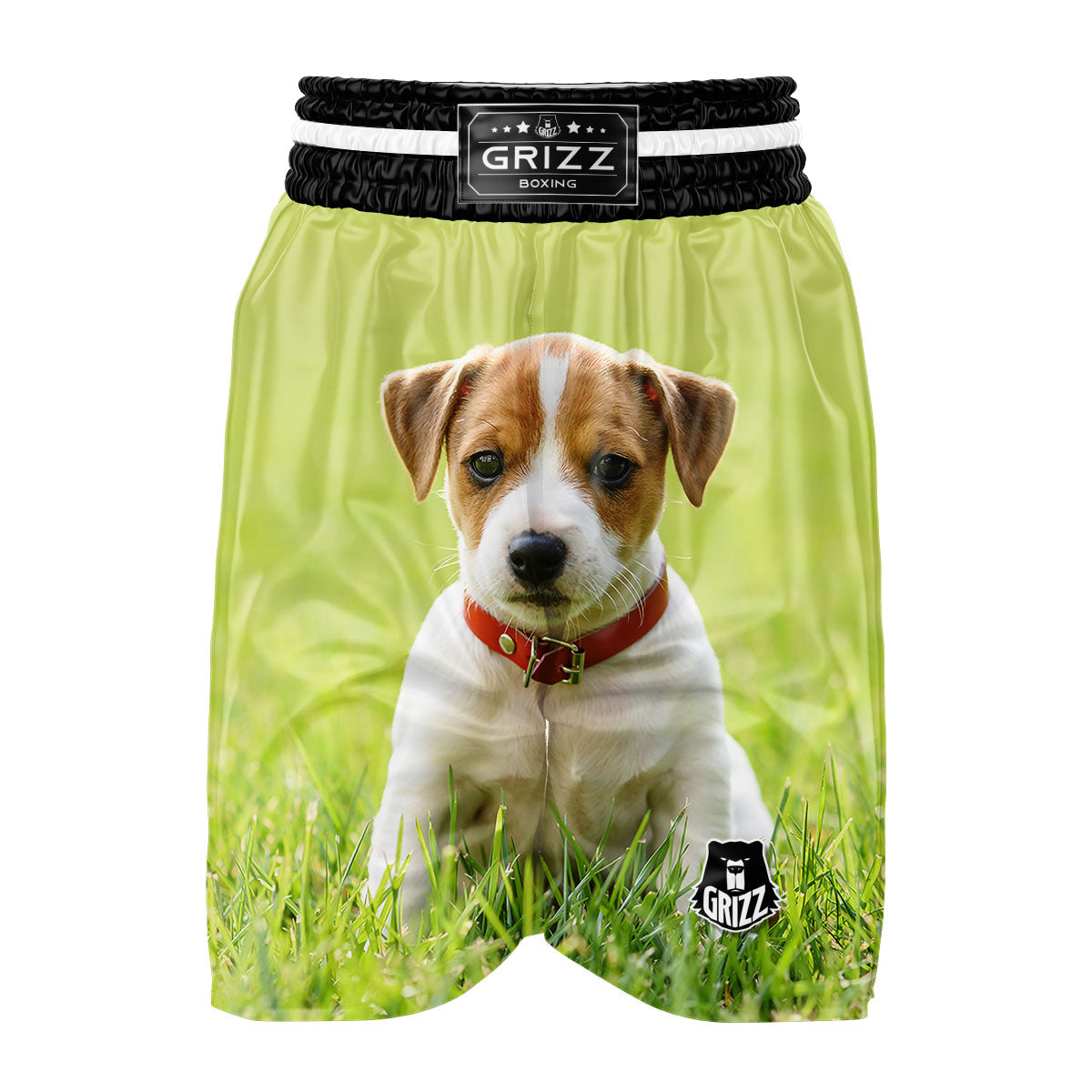 Jack Russell Terrier Little Print Boxing Shorts-grizzshop
