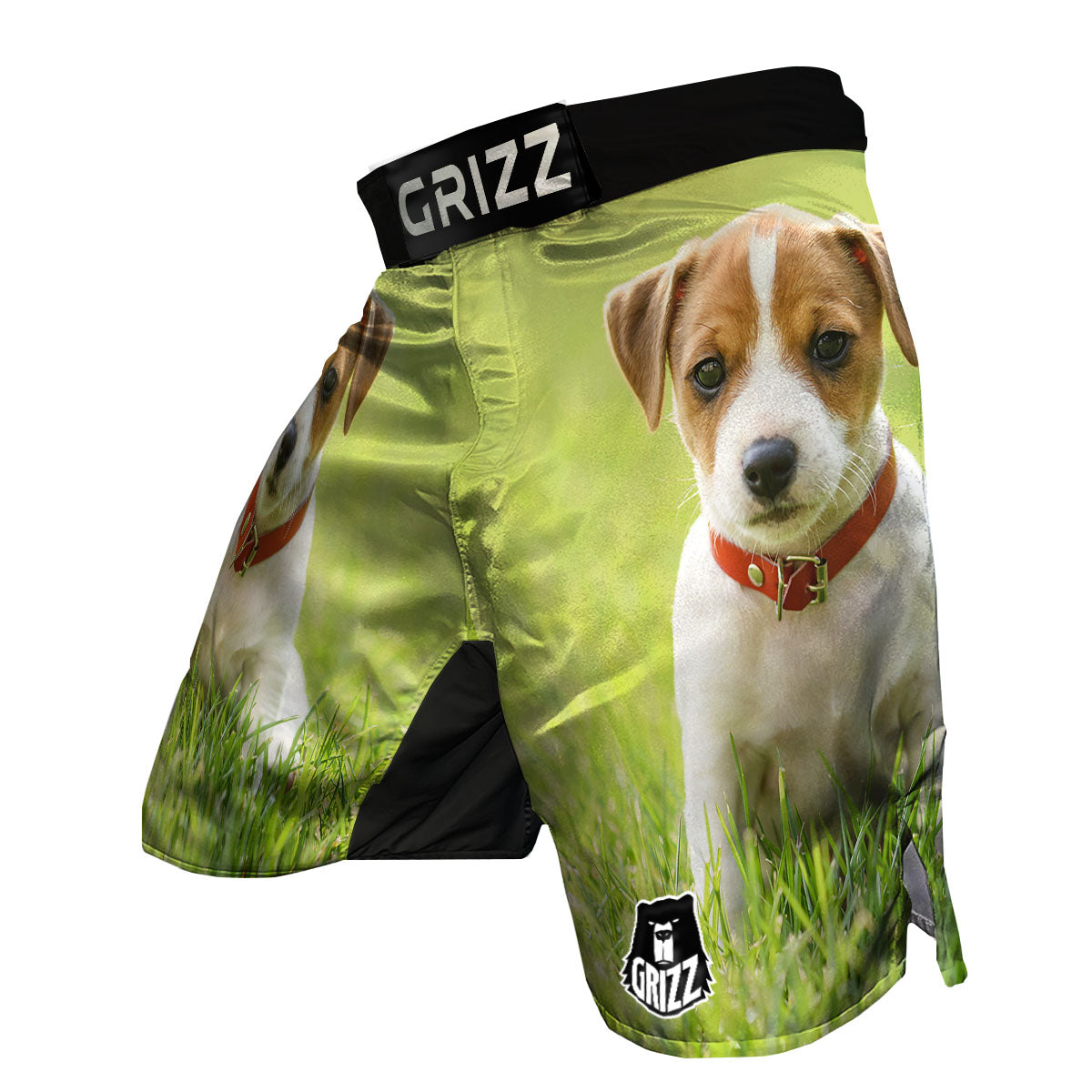Jack Russell Terrier Little Print MMA Shorts-grizzshop