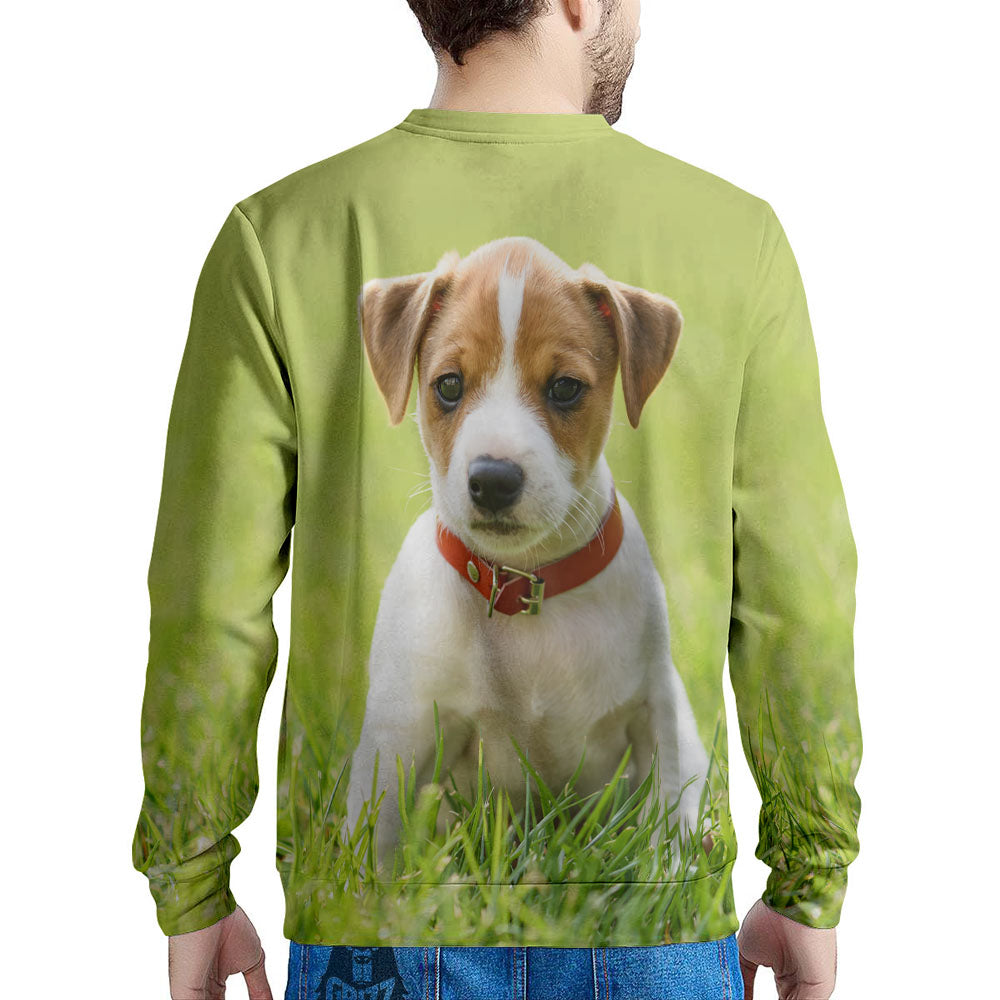 Jack Russell Terrier Little Print Men's Sweatshirt-grizzshop