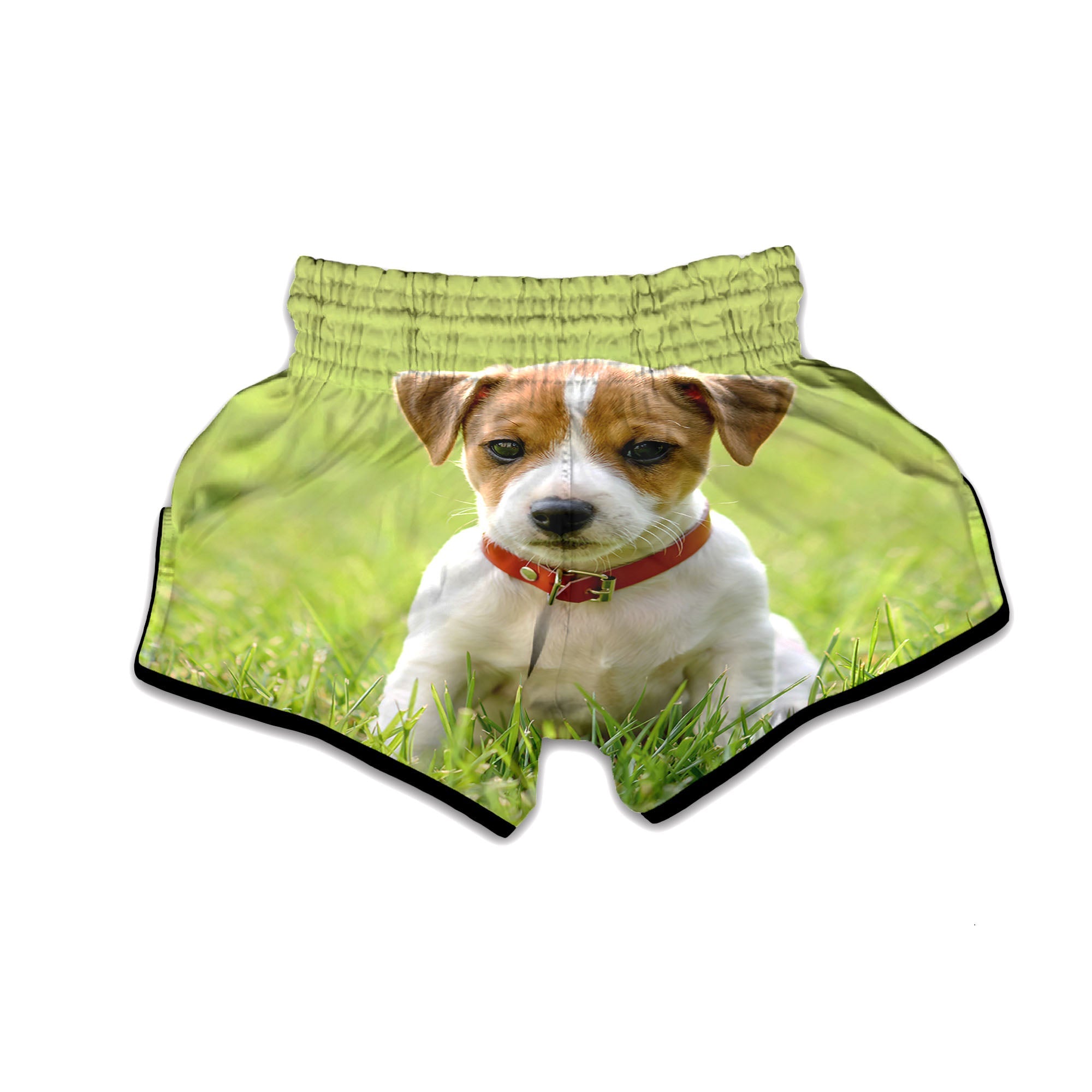 Jack Russell Terrier Little Print Muay Thai Boxing Shorts-grizzshop