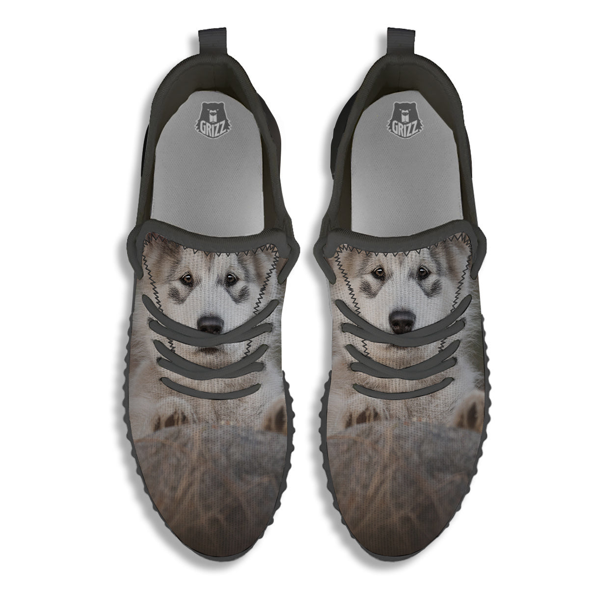 Malamute Alaskan Cute Print Black Walking Shoes-grizzshop