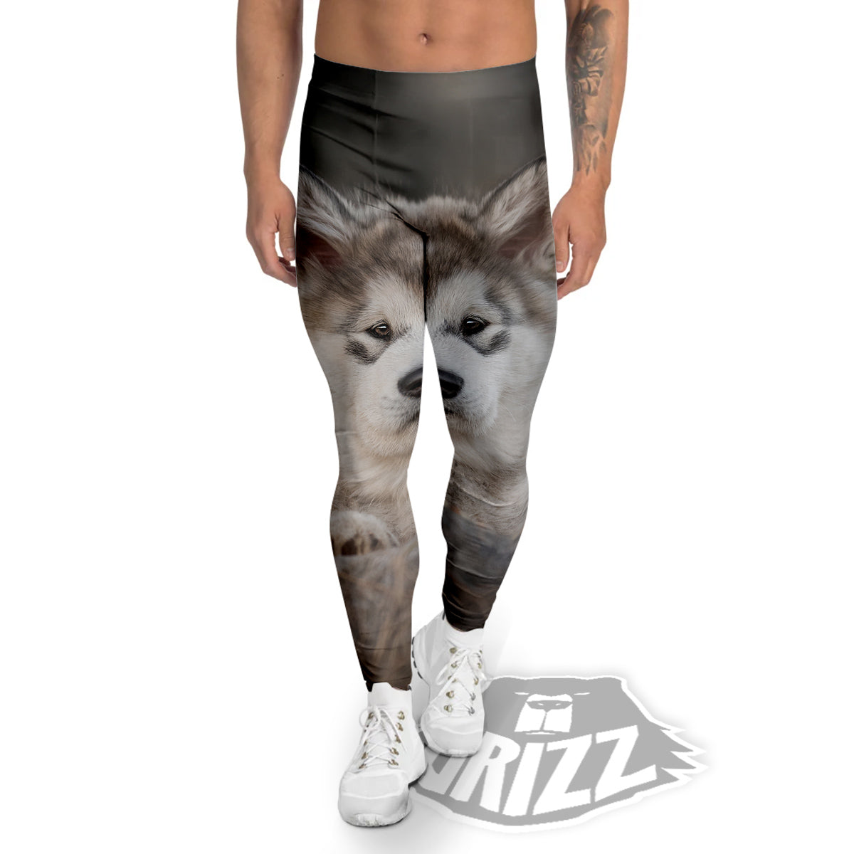 Malamute Alaskan Cute Print Men's Leggings-grizzshop