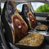 Newfoundland Dog Universal Fit Car Seat Covers-grizzshop