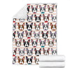 Pattern Print Boston Terrier Blanket-grizzshop