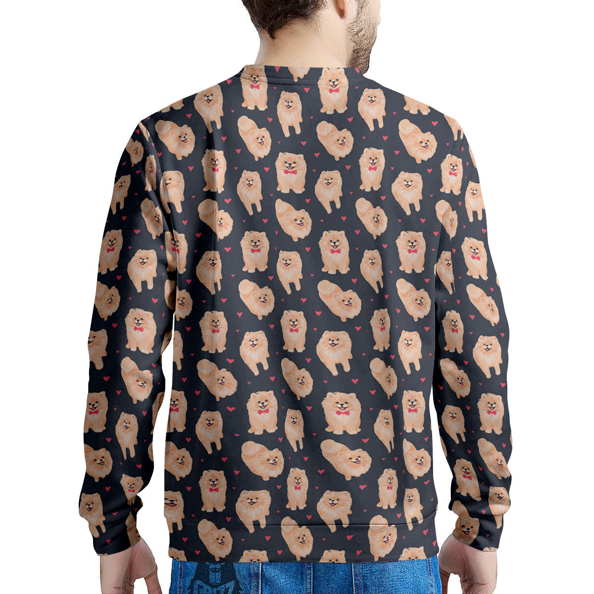 Pomeranian Cute Print Pattern Men's Sweatshirt-grizzshop