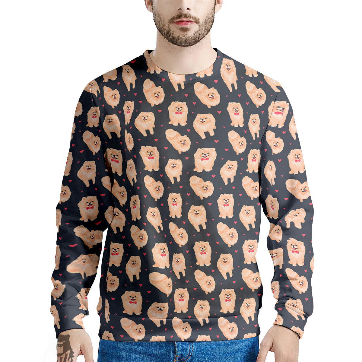 Pomeranian Cute Print Pattern Men's Sweatshirt-grizzshop