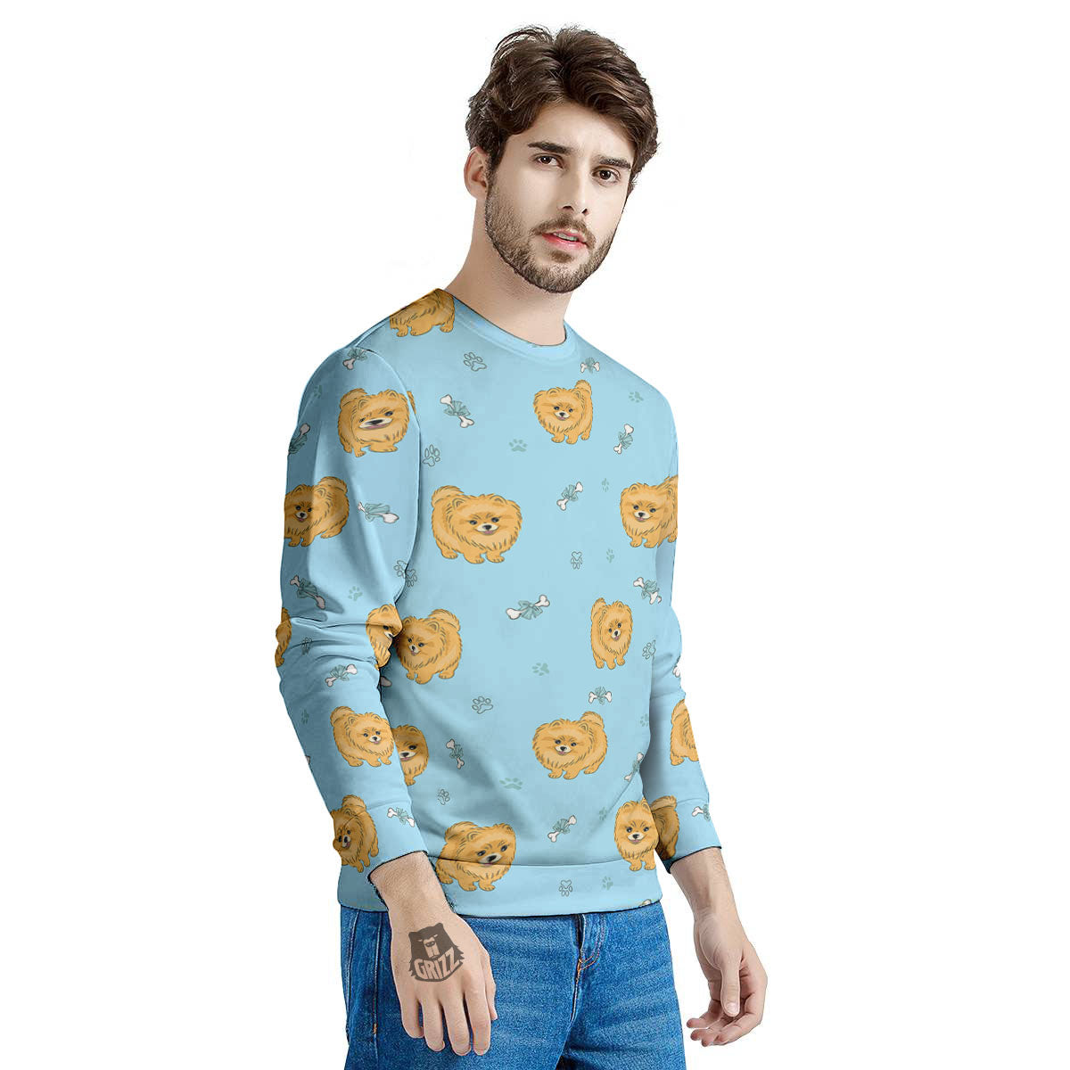 Pomeranian Little Print Pattern Men's Sweatshirt-grizzshop