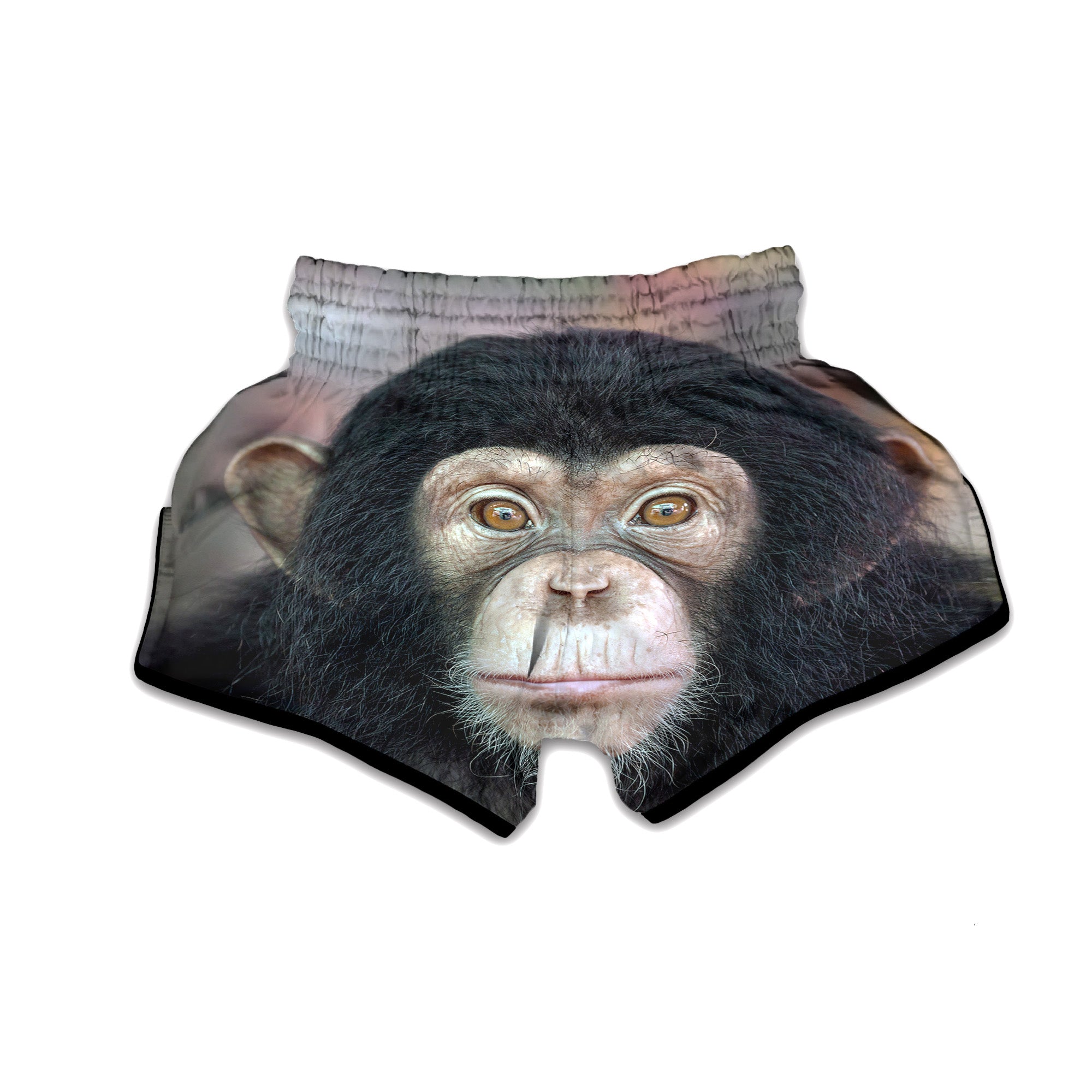 Portrait Chimpanzee Print Muay Thai Boxing Shorts-grizzshop