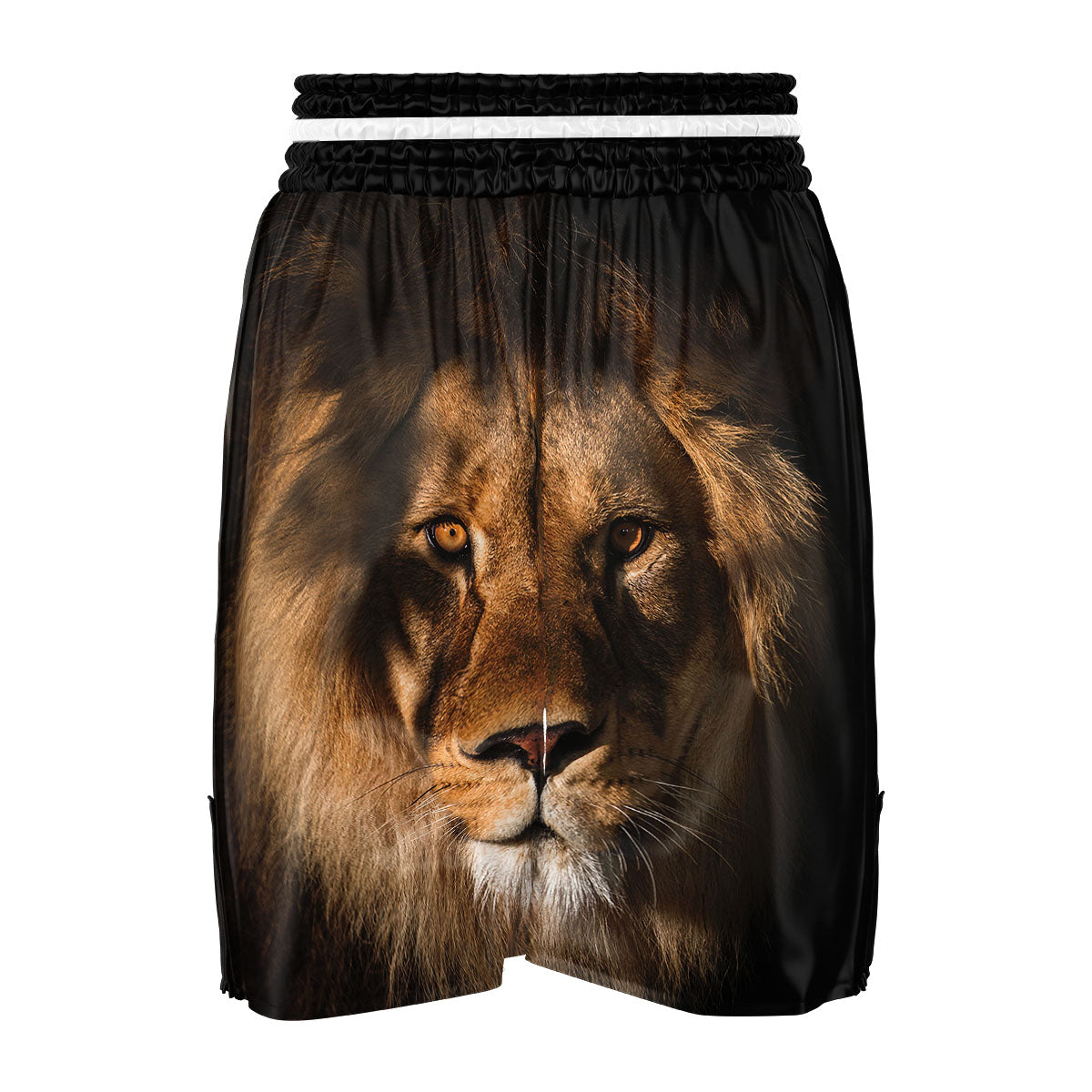 Portrait Leo Print Boxing Shorts-grizzshop