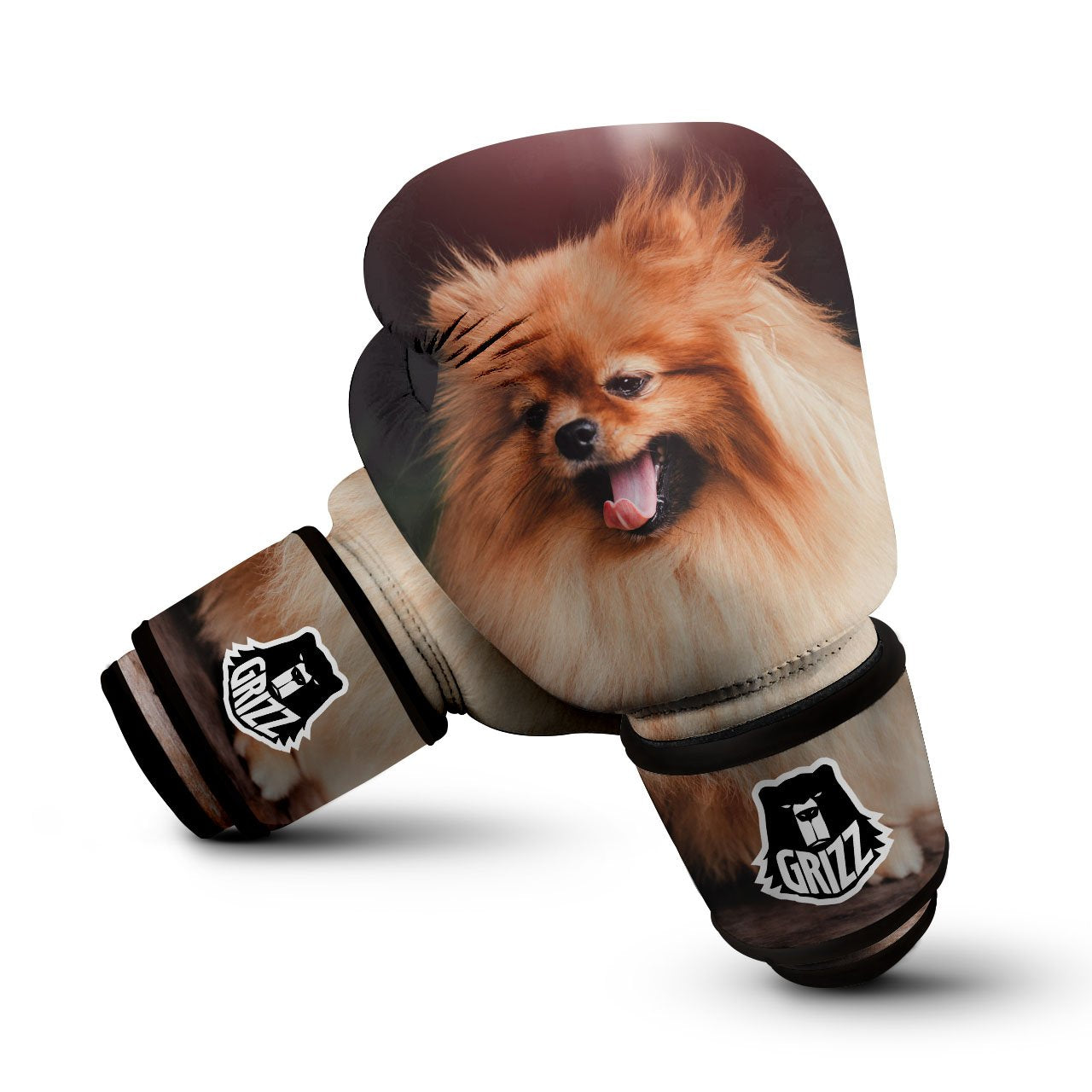 Portrait Vintage Pomeranian Boxing Gloves-grizzshop