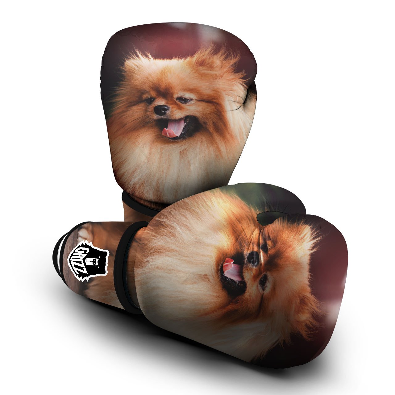 Portrait Vintage Pomeranian Boxing Gloves-grizzshop
