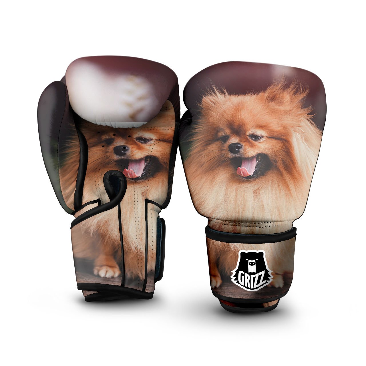 Portrait Vintage Pomeranian Boxing Gloves-grizzshop
