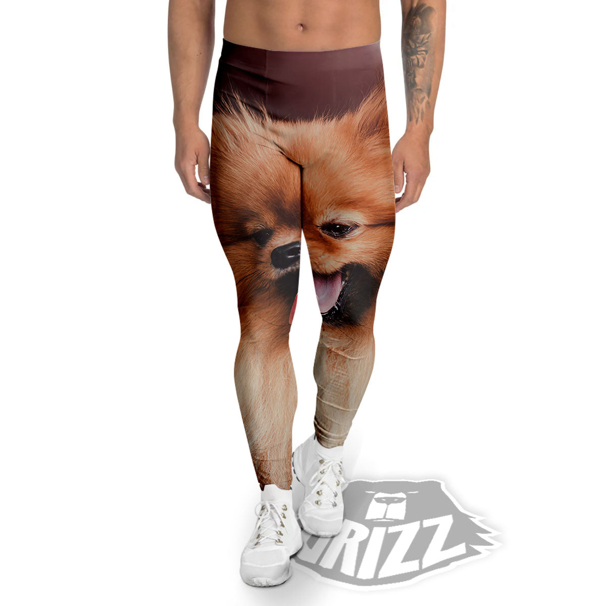 Portrait Vintage Pomeranian Men's Leggings-grizzshop