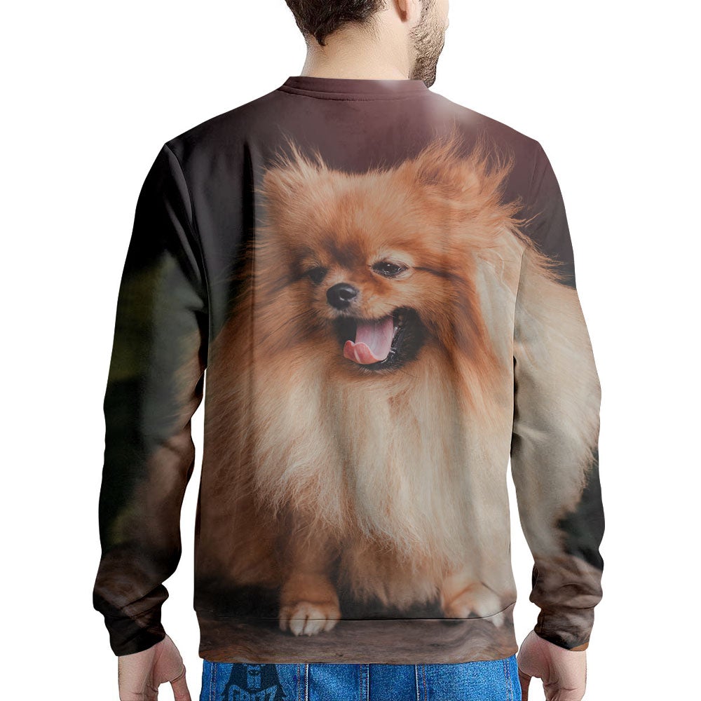 Portrait Vintage Pomeranian Men's Sweatshirt-grizzshop
