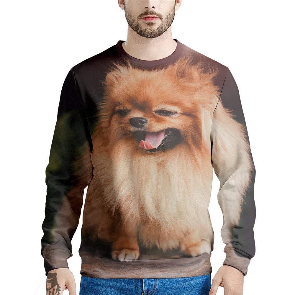 Portrait Vintage Pomeranian Men's Sweatshirt-grizzshop