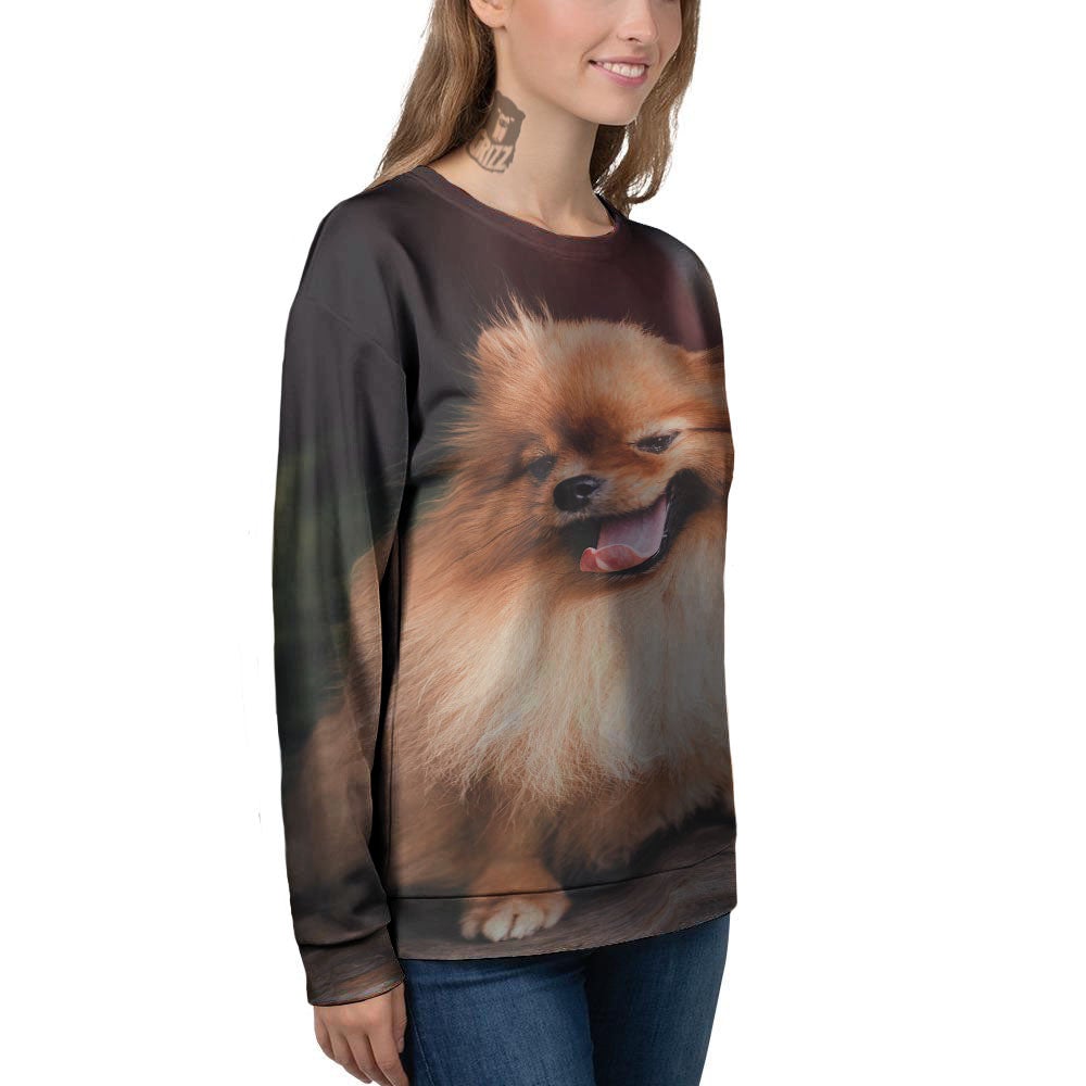 Portrait Vintage Pomeranian Women's Sweatshirt-grizzshop