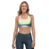 Psychedelic Trippy Holographic Sports Bra-grizzshop