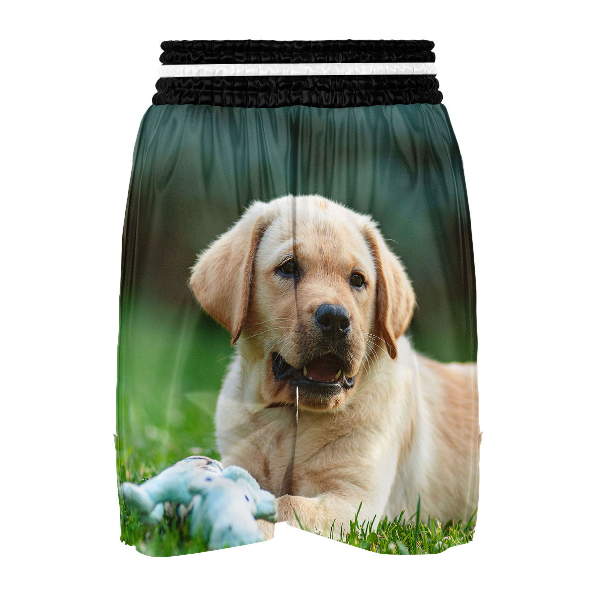 Puppy And Labrador Retriever Print Boxing Shorts-grizzshop