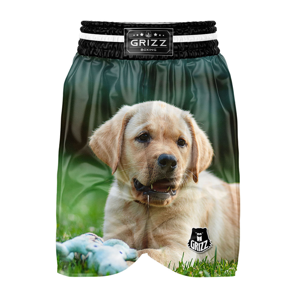 Puppy And Labrador Retriever Print Boxing Shorts-grizzshop