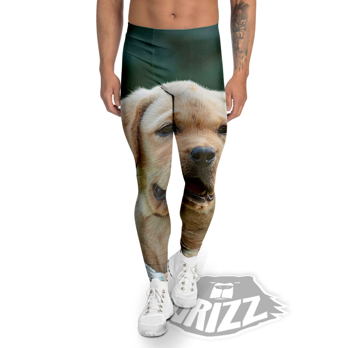 Puppy And Labrador Retriever Print Men's Leggings-grizzshop