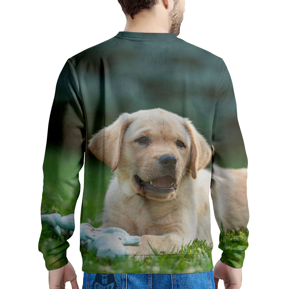 Puppy And Labrador Retriever Print Men's Sweatshirt-grizzshop